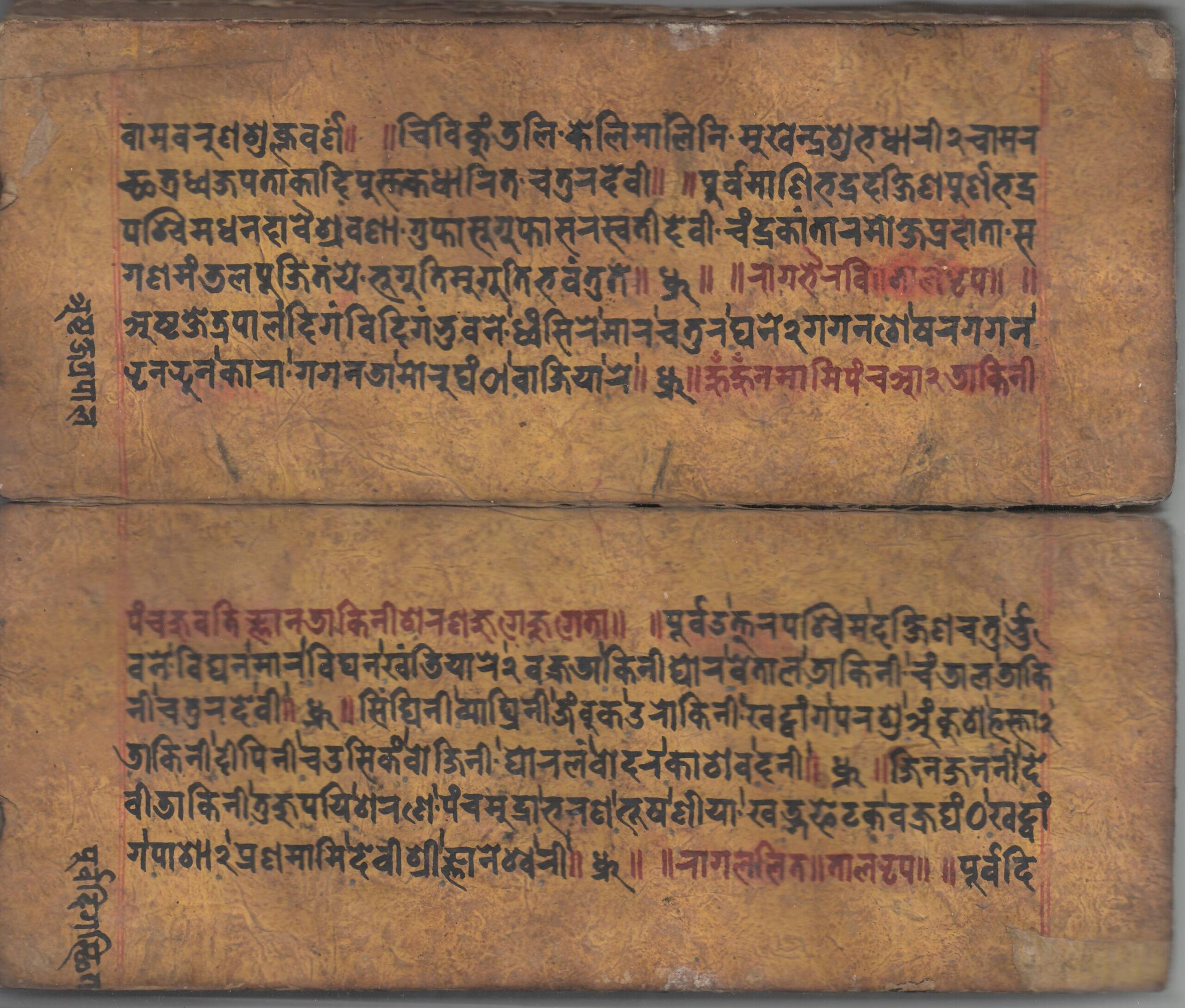 0010-016