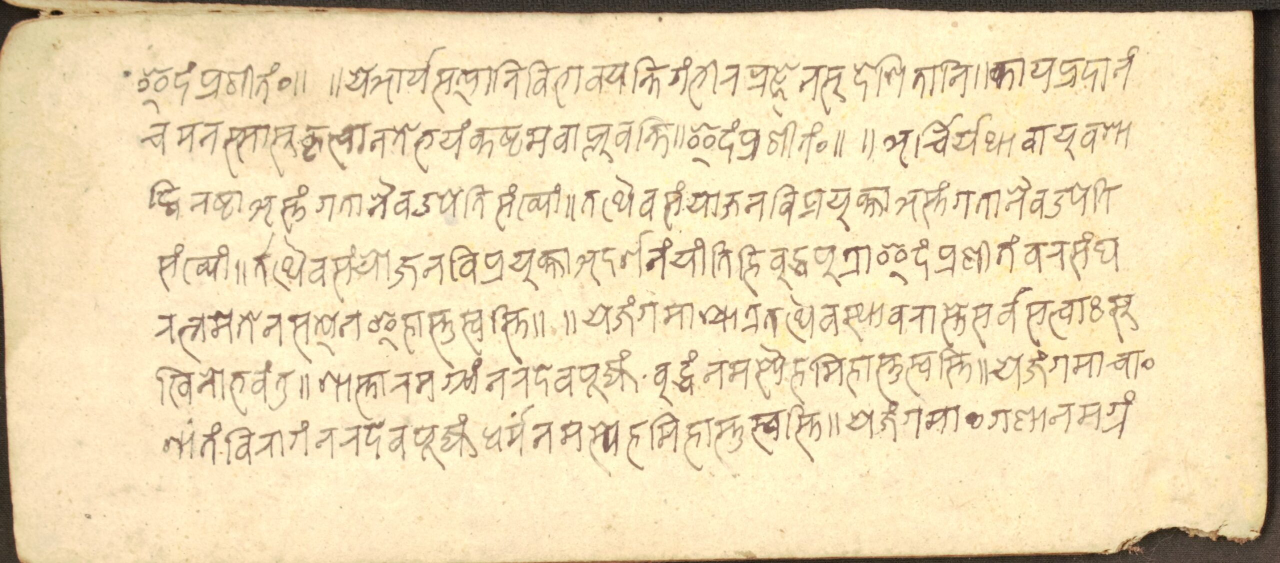 DSC06604