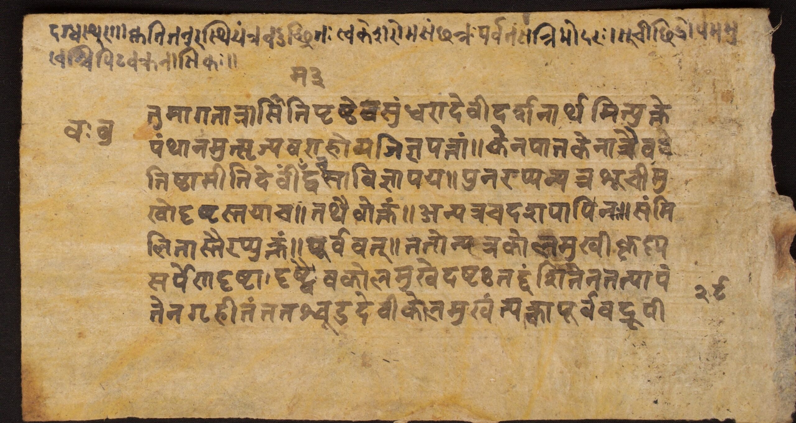 W1NPL100056