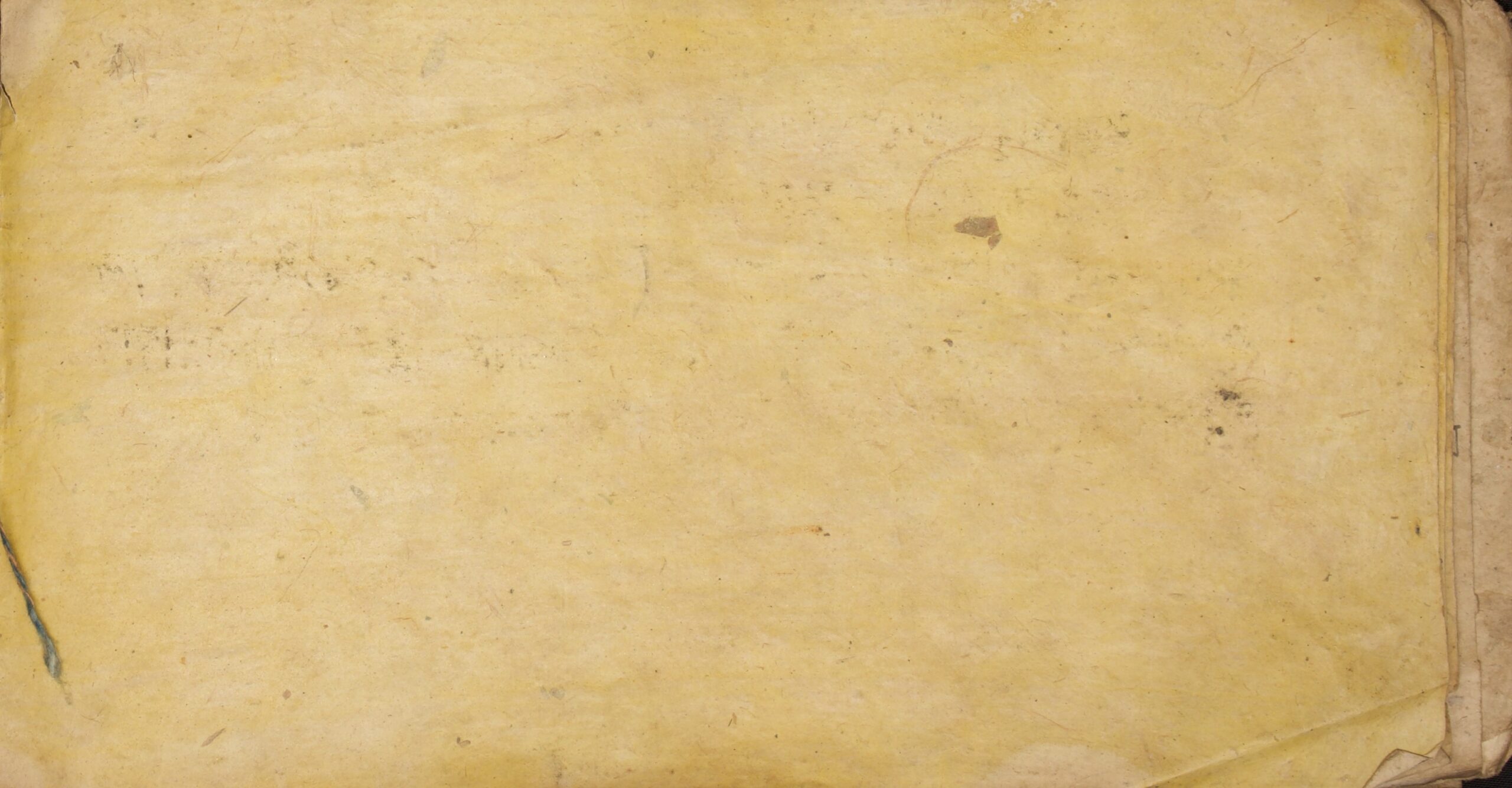 W1NPL100089