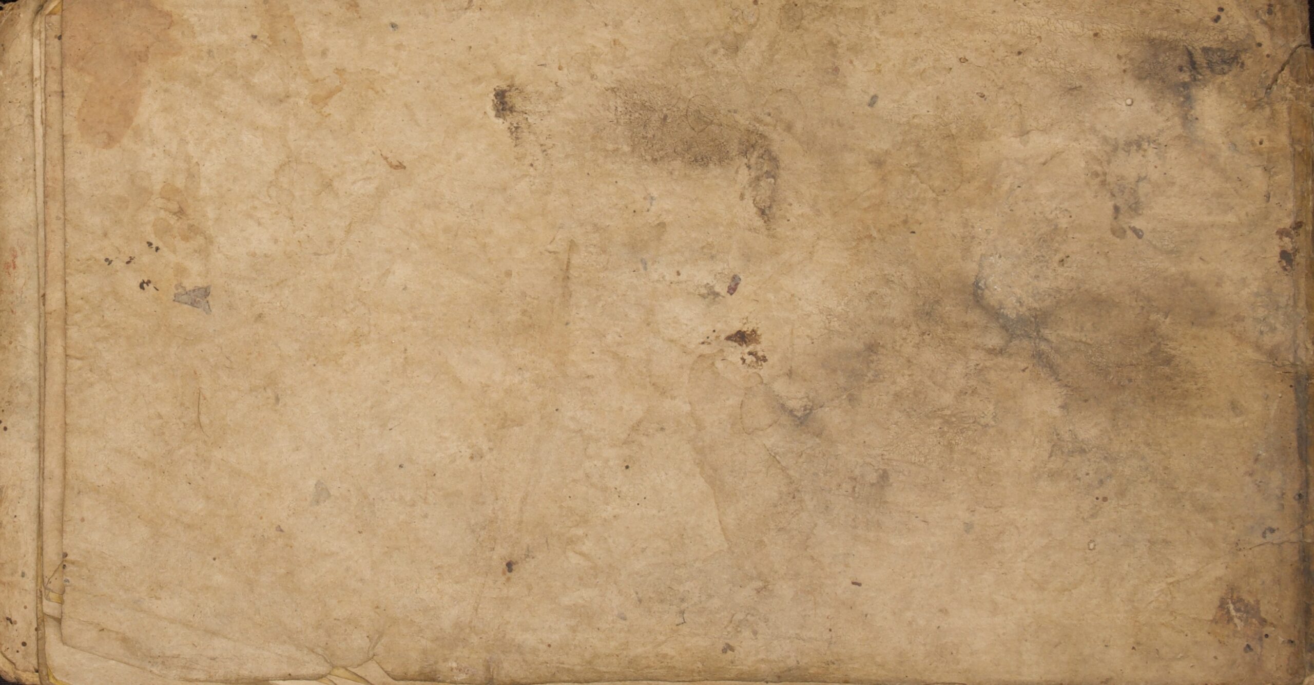 W1NPL100090