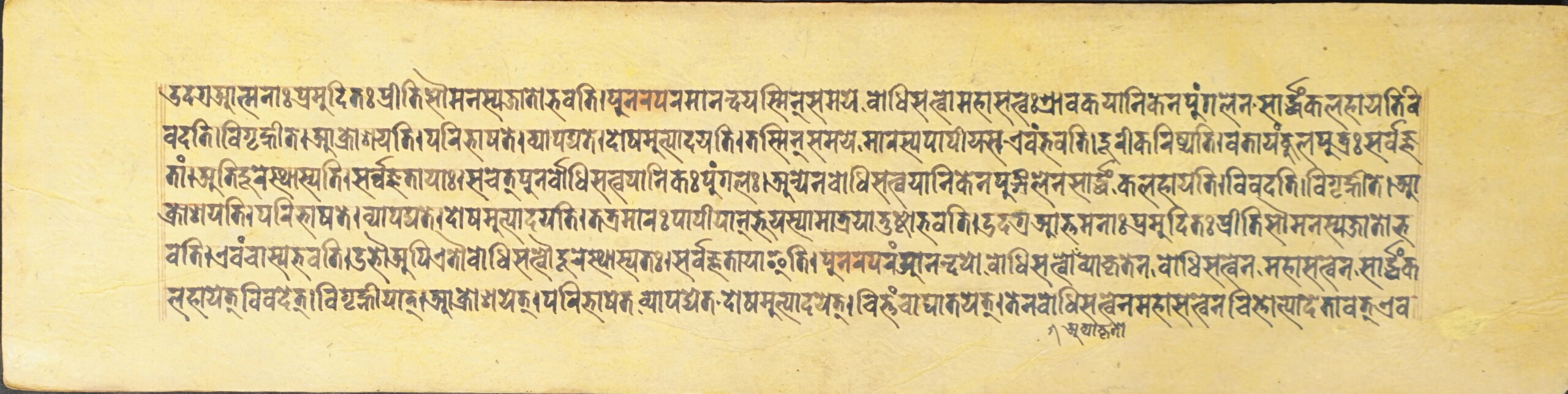 DSC00558